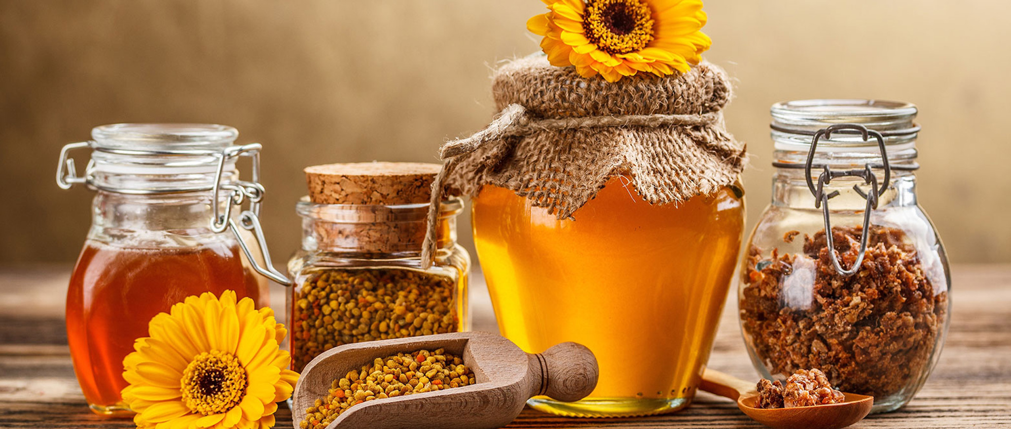 خرید عسل طبیعی | فروش عسل طبیعی | خرید عسل وحشی